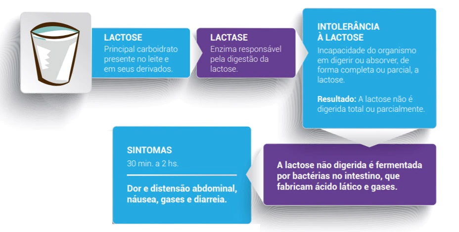 fluxo da lactose