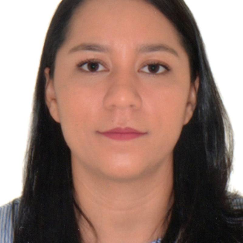 Camila Guedes Borges de Araujo