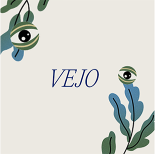 vejo